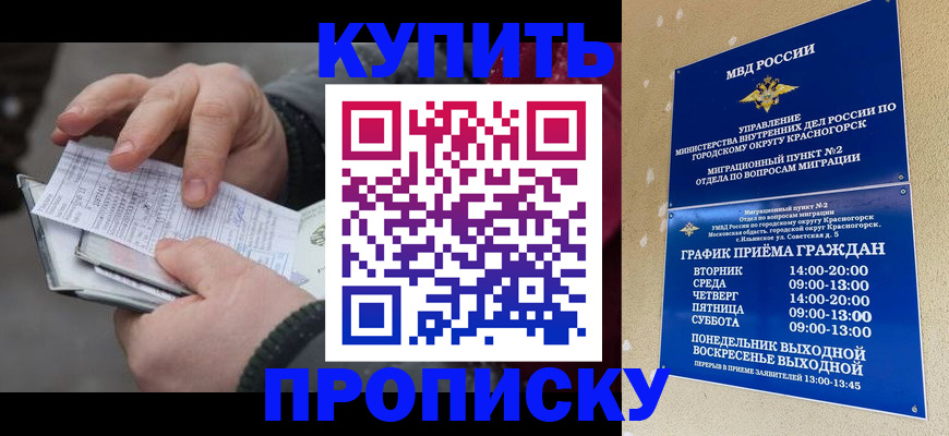 временная регистрация недорого в Курске